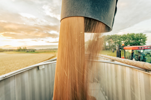 Craft Beer Grows in Alberta