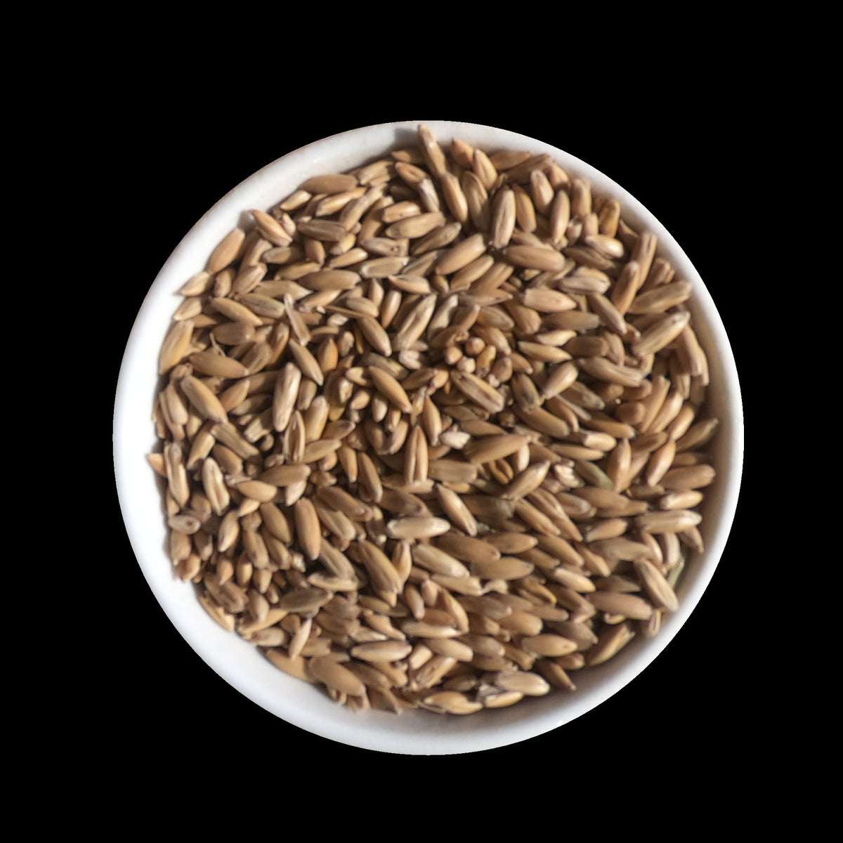 Premium Base Malt for Craft Brewers & Distillers Red Shed Malting