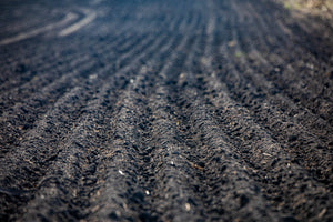 Dark Saison Made with Red Shed