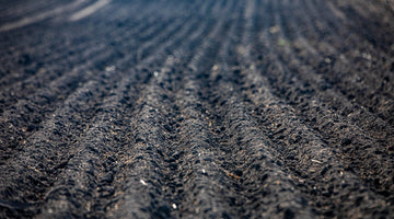 Dark Saison Made with Red Shed
