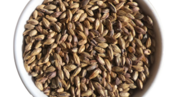 Malt of the Month August 2022: Amber Malt