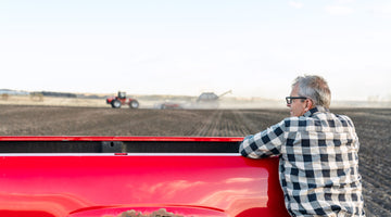 Down in the Dirt: The Soil of Red Shed