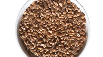 Malt of the Month March 2022: Raw Grains