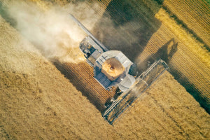 Hamill Farms #Plant22 Update