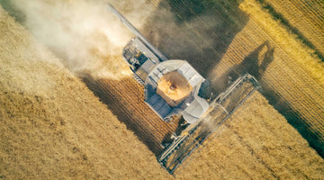 2021 Barley Crop Update