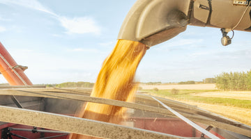 Canadian Malting Barley Technical Centre