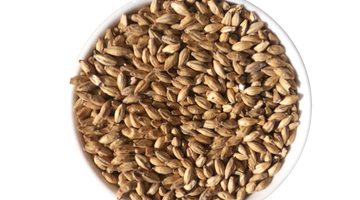 Malt of the Month September 2021: Rocky Mountain Malt