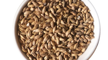 Malt of the Month April 2023: Kananaskis