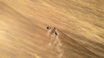 Belgian Dubbel made with Red Shed