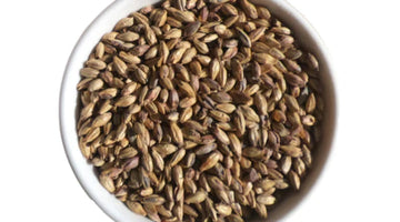 Malt of the Month August 2022: Amber Malt