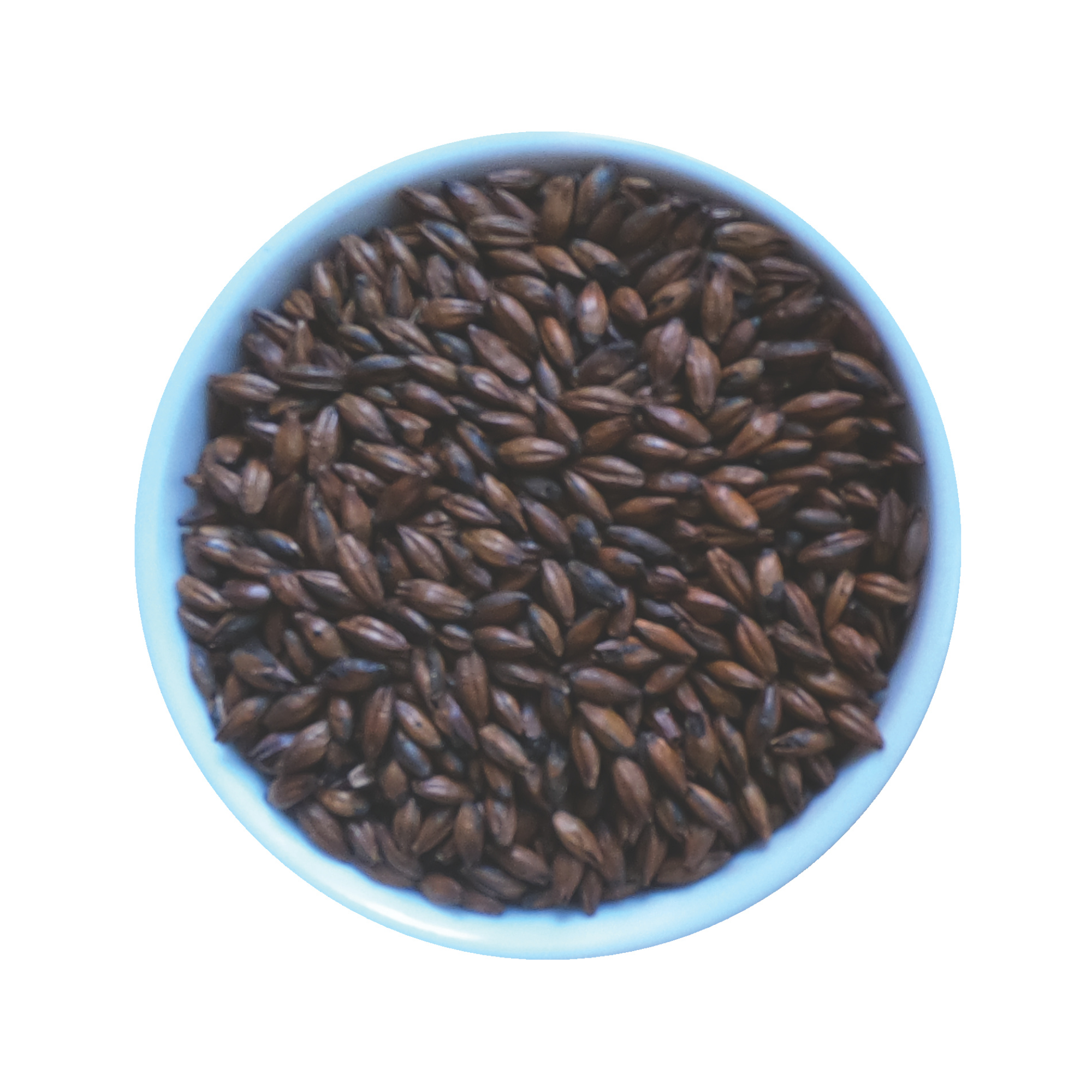 Chocolate Malt 500 – Red Shed Malting