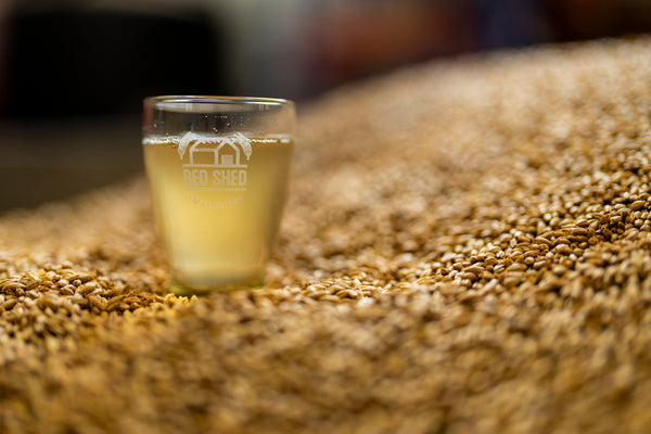 Rye Malt