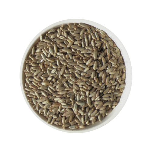 Rye Malt